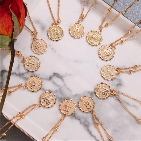 Pisces Zodiac Coin Necklace - Picture 5 of 8